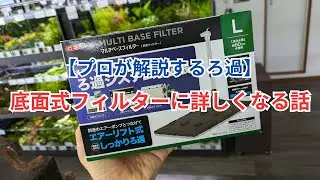 [The Basics of Filtration] Learn more about bottom filters