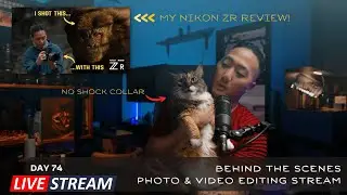 🔴 Making LUTs with Nikon ZR RED files | Wildlife, Travel, Photo, Film Talk | Day 74