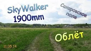 SkyWalker 1900 FPV First Flight