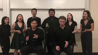 Lounge Lizards A Cappella ICCA Audition Video (UC Davis)