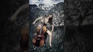 NM DEEP SAZ