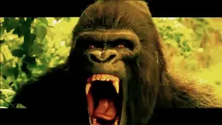 Old Spice Jungle Hero vs Gorilla - Commercial