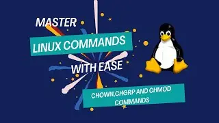 How to Manage File Permission on Linux system -chmod,chgrp,chown |linux permissions commands