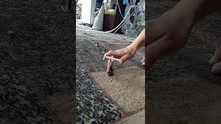 клипчик