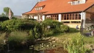 At the Farm
