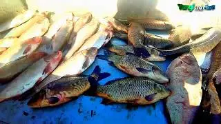 Yangi To'rtko'l | To'rtko'l baliq bozori 26 02 2023 #yangiturtkul #turtkul