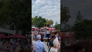 Personal Ensign track walk out!!! #saratogaracecourse #saratoga #horseracing #horse #saratoga #otwl