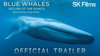 Blue Whales 🐋 Return of the Giants 🎥 Official Trailer