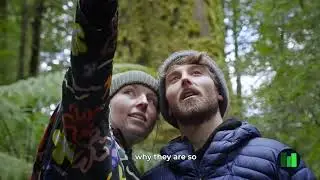 Together, Lets Create the Big Tree State