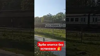 #asmr #train #поезд #популярное #railway #trainspotting