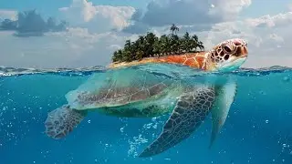 Phu Quoc Island/Vietnam 2025. VinWonders.Famous Oceanarium