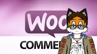 Setting Up WooCommerce Stream