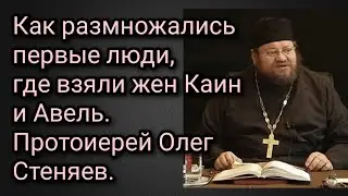 Как размножались первые люди,
где взяли жен Каин и Авель.
Протоиерей Олег Стеняев.