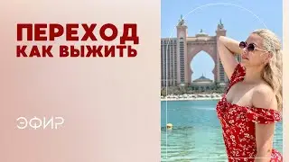 Кто и как пройдет Таможню в Новый Мир