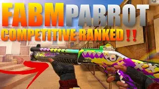 Standoff 2 FabM Parrot Competitive Match Gameplay