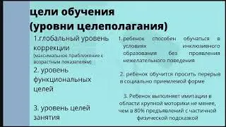 выбор стратегии обучения детей с РАС