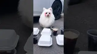 Refuse to waste food!
