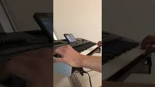 Dada Sali Čoček-Sax live  Korg pa4x