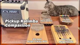 The Best Pickup Kalimba⁉️ « You Raise Me Up » [Comparison]