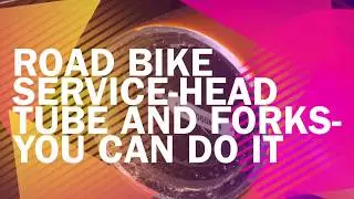 Road bike service Head tube and forks You can do it