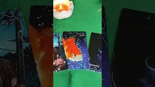 КАРТА ДНЯ 19/11 