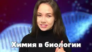 Белки в ЕГЭ по биологии | Биология ЕГЭ 2021