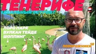ТЕНЕРИФЕ-2019, Лоро Парк, Вулкан Тейде, Шоппинг, Подорожники-18, 3 серия
