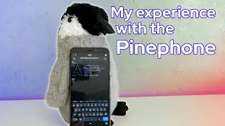 My experience with the Pinephone