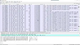 Packet Challenge Answer: Look it up in the Dictionary [100119]