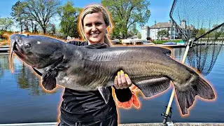 HUGE Channel Catfish In a Tiny River (Over 25 lbs)