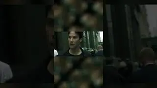 The matrix 