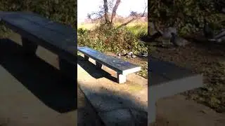 K lindos estos bebes patitos
