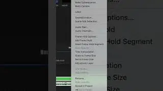 How to Lower Volume in Premiere Pro | #shorts