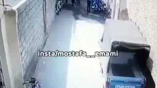 Марг парвои пиру чавон надорад ин манзараро бубинед!