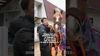 Как мой муж принял лошадей в своей жизни?