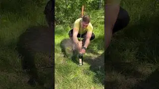 Live hack як відкрити вино на природі 😅 #прикол