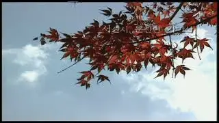 S920181 mp4