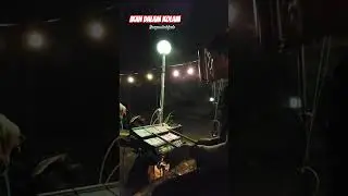 ikan dalam kolam