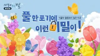✉ 당신의 장점은 무엇인가요?, 별빛한줄 #24, 하나님의교회 세계복음선교협회
