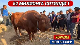 ХОРАЗМ МОЛ БОЗОРИ 52 МИЛИОНГА ГИГАНТ БУКА СОТИЛДИ САВДО ЗУ́Р БУ́ЛДИ 28-МАЙ ХОРАЗМ БОЗОР