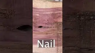 Not What You Want To Find Inside A Log   #woodworking #homestead  #wood #sawmill