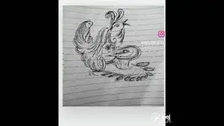 what all u can see