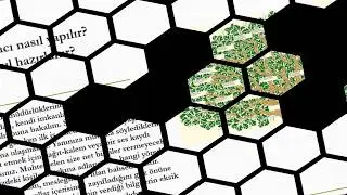 Soy Ağacı Nedir? Soy Ağacı Nasıl Çıkarılır?