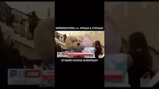 Звери хотят фит с Моргенштерном