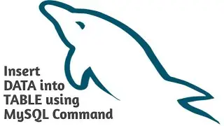 MySQL Add data into table using the insert query | MySQL course for beginners