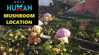 ONCE HUMAN | MUSHROOM LOCATION!