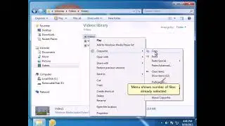 Copy files from multiple folders & paste them all at once using Copywhiz for Windows