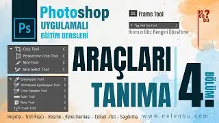 Getting to Know the Tools Part 4 - Photoshop Tutorials