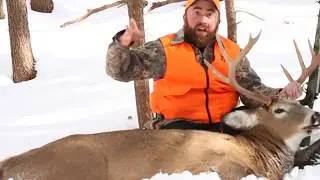 Tracking Late Season Bucks In Massachusetts