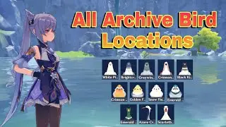 Genshin İmpact Archive Tüm Kuşların Yerleri